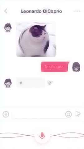 DDOS平台软件程序维护界面